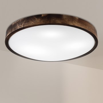 Brilagi - Mennyezeti lámpa CARVALHO SLIM SMOKEY 3xE27/60W/230V, tölgy, átm. 47,5 cm