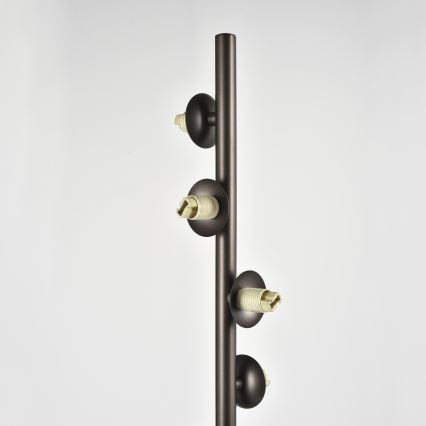 Brilagi - MILLA LED állólámpa 7xG9/3W/230V barna/füstös barna