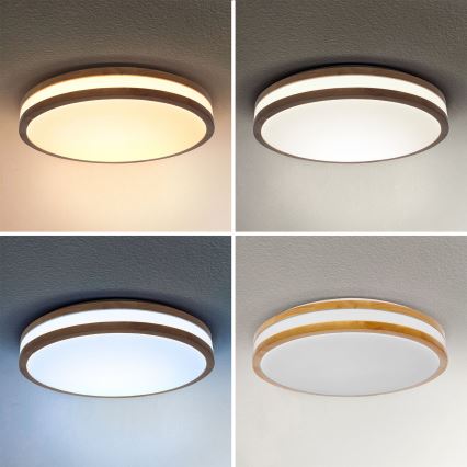 Brilagi - LED dimmelhető mennyezeti lámpa MOLINA LED/48W/230V 3000-6500K tölgy átmérő 38 cm + távirányító