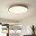 Brilagi - POOL LED dimmelhető mennyezeti lámpa LED/60W/230V 3000-6000K átm. 50 cm barna + távirányító