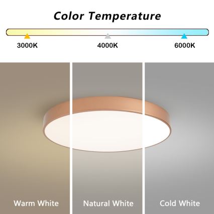 Brilagi - POOL LED mennyezeti lámpatest, 60W/230V, 3000/4000/6000K, átm. 60 cm, bronz