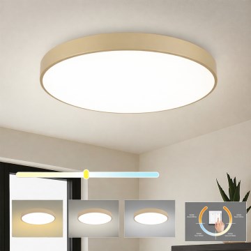 Brilagi - POOL LED mennyezeti lámpatest 100W/230V 3000/4000/6000K átm. 80 cm bézs