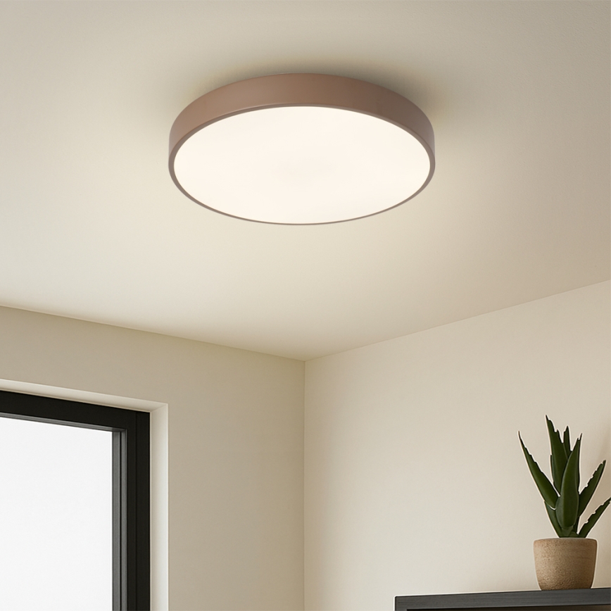 Brilagi - LED mennyezeti lámpa POOL LED/36W/230V 3000/4000/6000K átm. 30 cm barna