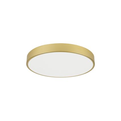 Brilagi - POOL LED mennyezeti lámpatest 60W/230V 3000/4000/6000K, átmérő 60 cm, aranyszínű