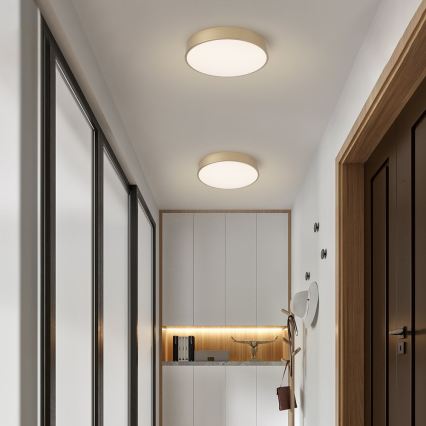 Brilagi - POOL LED mennyezeti lámpatest LED/48W/230V 3000/4000/6000K átm. 40 cm aranyszínű