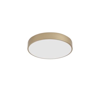 Brilagi - POOL LED mennyezeti lámpatest LED/48W/230V 3000/4000/6000K átm. 40 cm aranyszínű