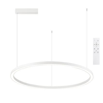 Brilagi - PORTOFINO LED dimmelhető kábelre függesztett csillár LED/60W/230V 3000-6000K átm. 80 cm fehér + távirányító