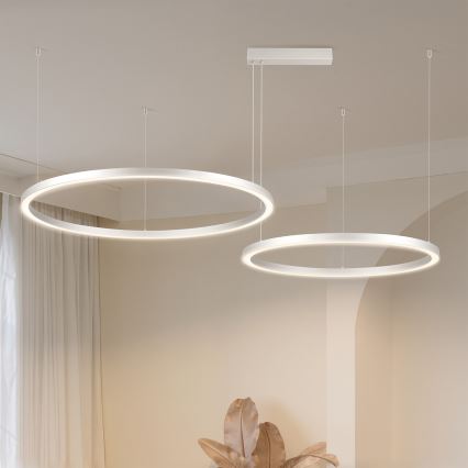 Brilagi - LED-fényerőszabályozható kábeles csillár PORTOFINO LED/98W/230V 3000-6000K ezüstszínű + távirányító