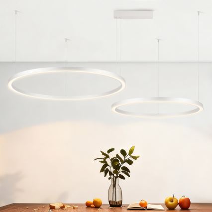 Brilagi - LED-fényerőszabályozható kábeles csillár PORTOFINO LED/98W/230V 3000-6000K ezüstszínű + távirányító
