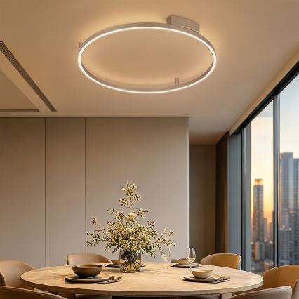 Brilagi - PORTOFINO dimmelhető LED mennyezeti lámpa LED/60W/230V 3000-6000K átm. 80 cm bézs + távirányító