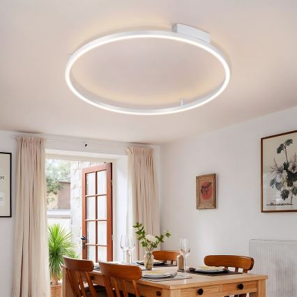 Brilagi - LED fényerőszabályozható mennyezeti lámpa PORTOFINO LED/60W/230V 3000-6000K átm. 80 cm ezüstszínű + távirányító