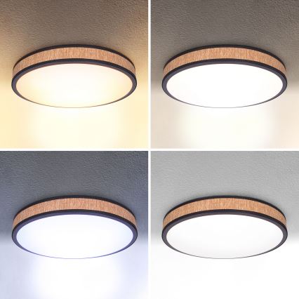 Brilagi - LED dimmelhető mennyezeti lámpa ROSA LED/48W/230V 3000-6500K átm. 38 cm + távirányító