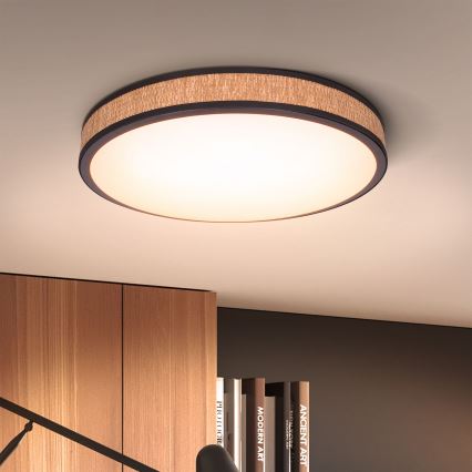 Brilagi - LED dimmelhető mennyezeti lámpa ROSA LED/48W/230V 3000-6500K átm. 38 cm + távirányító