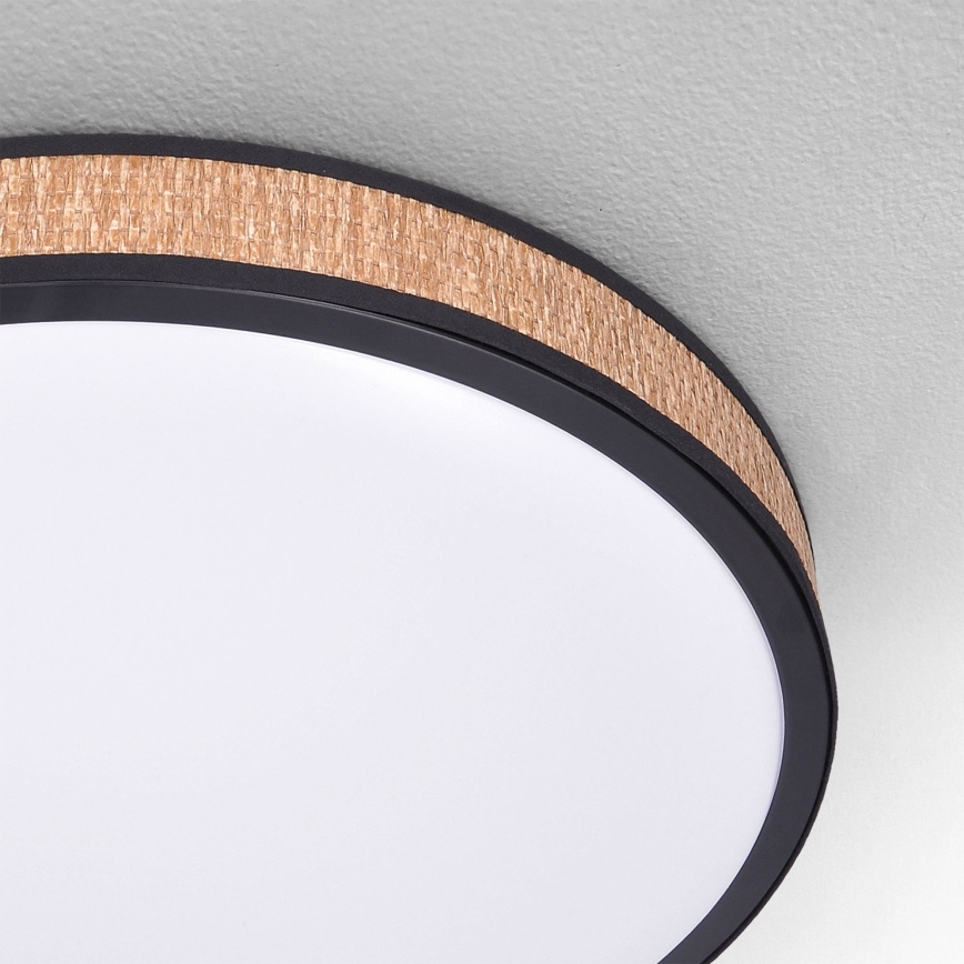 Brilagi - LED dimmelhető mennyezeti lámpa ROSA LED/48W/230V 3000-6500K átm. 38 cm + távirányító