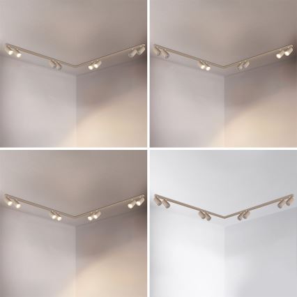 Brilagi - SELE LONG spotlámpa 8xGU10/30W/230V bézs