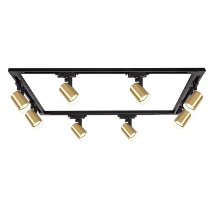 Brilagi - Sínrendszeres spotlámpa HUSKY 8xGU10/10W/230V fekete/arany