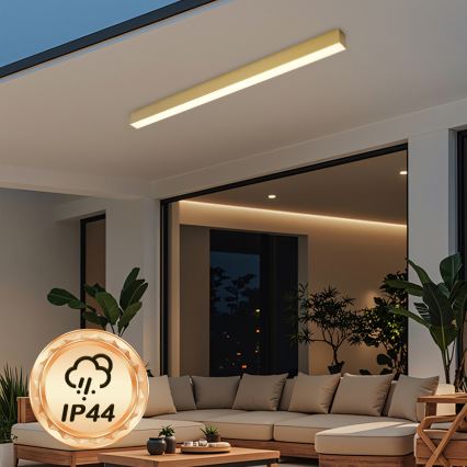 Brilagi - LED fürdőszobai mennyezeti lámpatest SLEEKLINE LED/40W/230V 3000/4500/6000K arany IP44