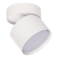Brilagi - Spotlámpa SMOOTH TILTY 1xGX53/15W/230V fehér