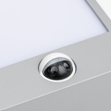 Brilagi - LED kültéri fali lámpa mozgásérzékelővel TERNI LED/12W/230V szürke IP44