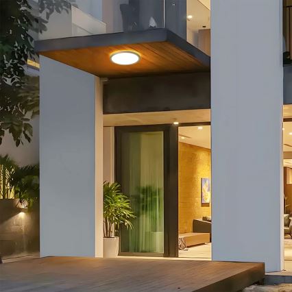 Brilagi - LED fürdőszobai mennyezeti lámpa ULTRA SLIM LED/12W/230V Ø 22,5 cm arany IP54