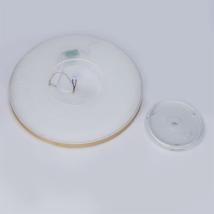 Brilagi - ULTRA SLIM LED fürdőszobai mennyezeti lámpa LED/24W/230V, Ø 42 cm, arany, IP54