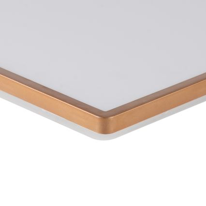 Brilagi - LED fürdőszobai mennyezeti lámpa ULTRA VÉKONY LED/24W/230V 42x42 cm rózsaarany IP54