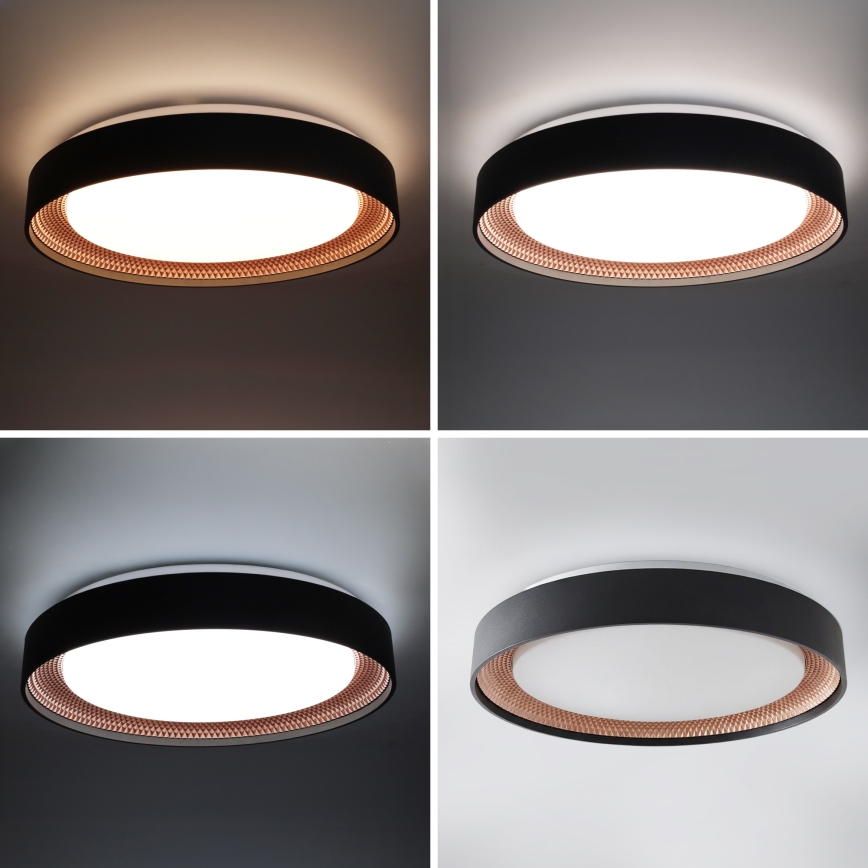 Brilagi - LED dimmelhető mennyezeti lámpa WALDO LED/48W/230V 3000-6500K átm. 40 cm fekete/arany + távirányító
