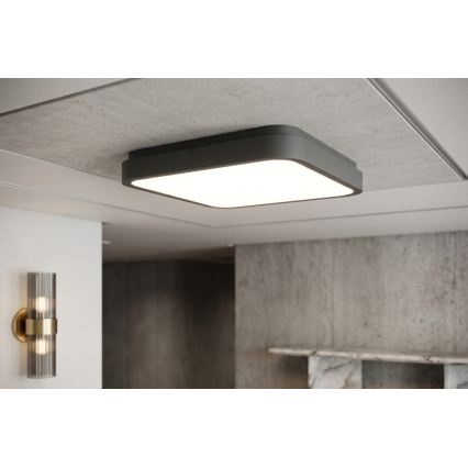 BRILAGI - ZENNA LED fürdőszobai mennyezeti lámpa LED/24W/230V 34,5x34,5 cm IP44 antracit