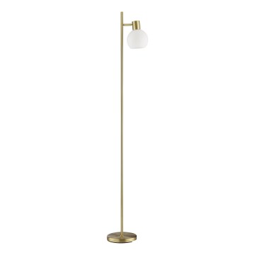 Brilliant - Állólámpa CONY 1xE14/20W/230V sárgaréz