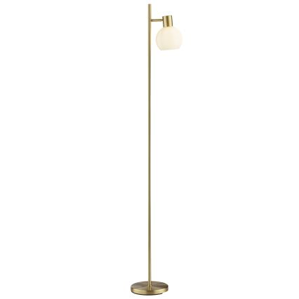 Brilliant - Állólámpa CONY 1xE14/20W/230V sárgaréz