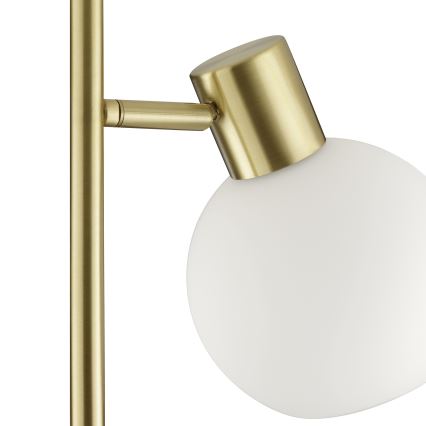 Brilliant - Állólámpa CONY 1xE14/20W/230V sárgaréz