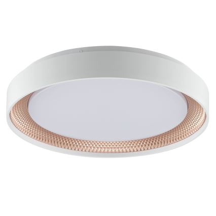 Brilliant - LED Dimmelhető mennyezeti lámpatest WALDO LED/24W/230V 3000-6500K átm. 38,5 cm fehér/rózsaarany + távirányítóval