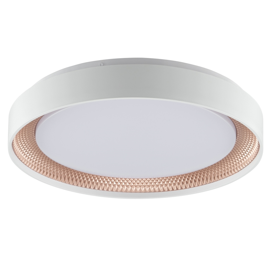 Brilliant - LED Dimmelhető mennyezeti lámpatest WALDO LED/24W/230V 3000-6500K átm. 38,5 cm fehér/rózsaarany + távirányítóval
