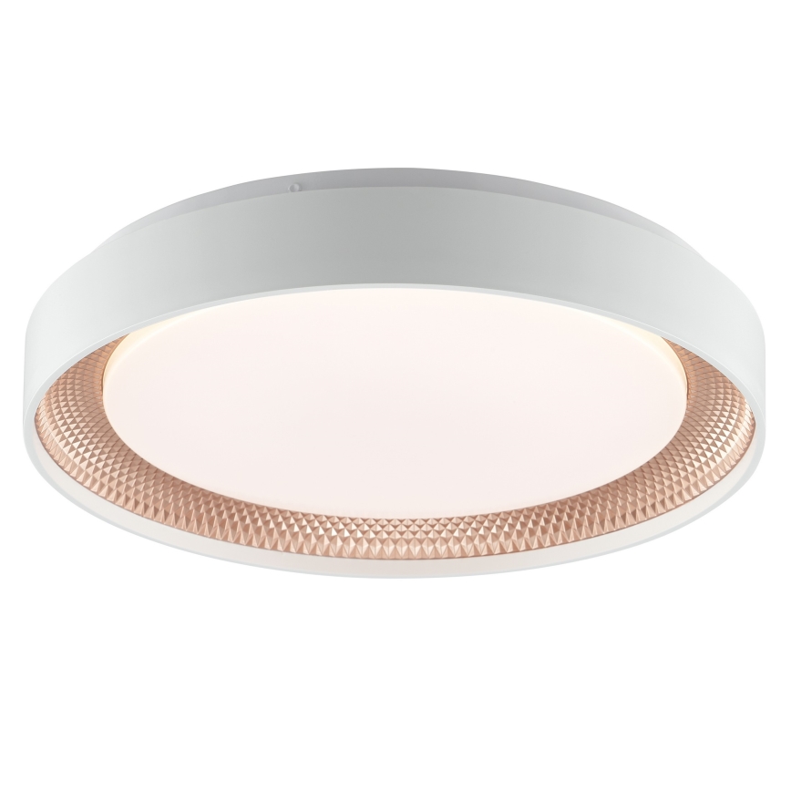 Brilliant - LED Dimmelhető mennyezeti lámpatest WALDO LED/24W/230V 3000-6500K átm. 38,5 cm fehér/rózsaarany + távirányítóval