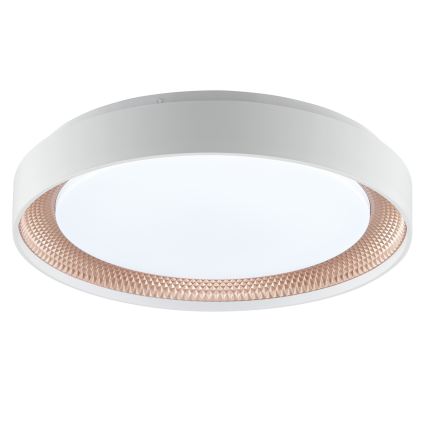 Brilliant - LED Dimmelhető mennyezeti lámpatest WALDO LED/24W/230V 3000-6500K átm. 38,5 cm fehér/rózsaarany + távirányítóval