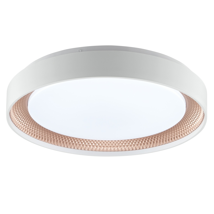 Brilliant - LED Dimmelhető mennyezeti lámpatest WALDO LED/24W/230V 3000-6500K átm. 38,5 cm fehér/rózsaarany + távirányítóval