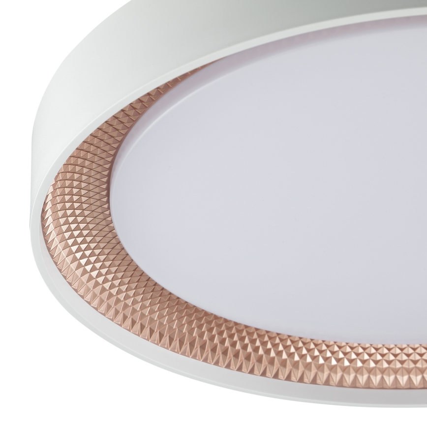 Brilliant - LED Dimmelhető mennyezeti lámpatest WALDO LED/24W/230V 3000-6500K átm. 38,5 cm fehér/rózsaarany + távirányítóval