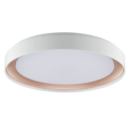 Brilliant - LED Dimmelhető mennyezeti lámpa WALDO LED/36W/230V 3000-6500K átm. 48,5 cm fehér/rózsaarany + távirányító
