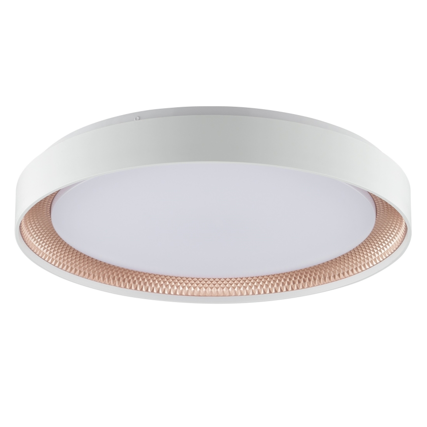 Brilliant - LED Dimmelhető mennyezeti lámpa WALDO LED/36W/230V 3000-6500K átm. 48,5 cm fehér/rózsaarany + távirányító