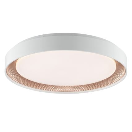 Brilliant - LED Dimmelhető mennyezeti lámpa WALDO LED/36W/230V 3000-6500K átm. 48,5 cm fehér/rózsaarany + távirányító