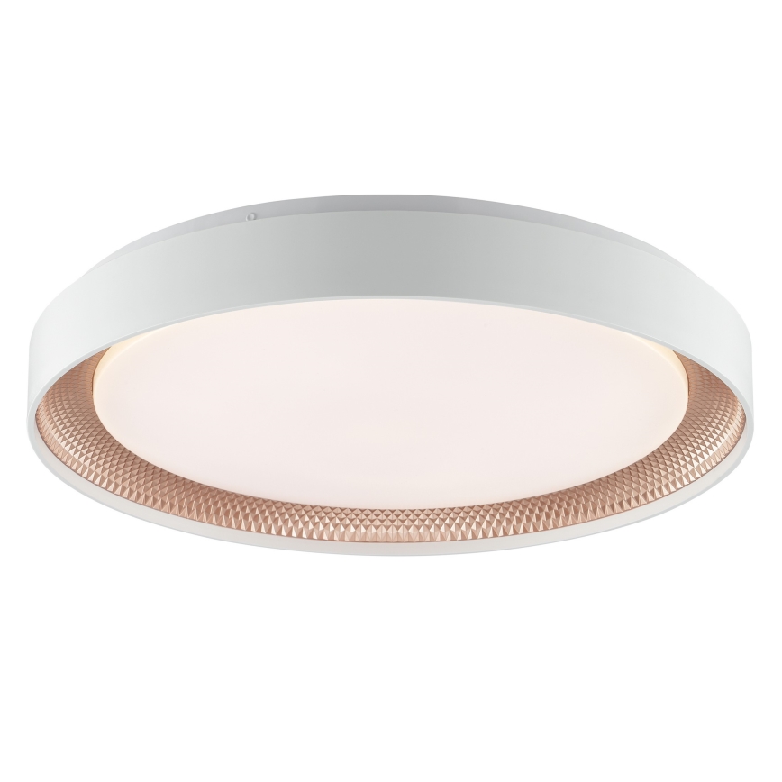 Brilliant - LED Dimmelhető mennyezeti lámpa WALDO LED/36W/230V 3000-6500K átm. 48,5 cm fehér/rózsaarany + távirányító