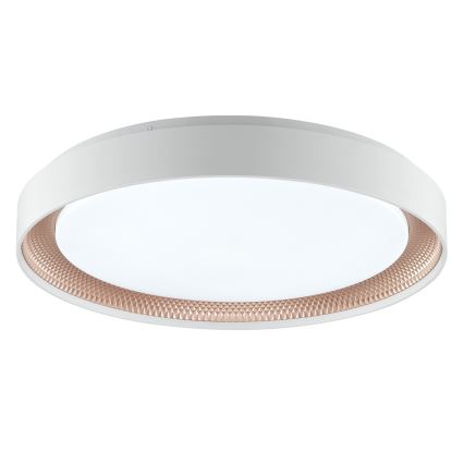 Brilliant - LED Dimmelhető mennyezeti lámpa WALDO LED/36W/230V 3000-6500K átm. 48,5 cm fehér/rózsaarany + távirányító