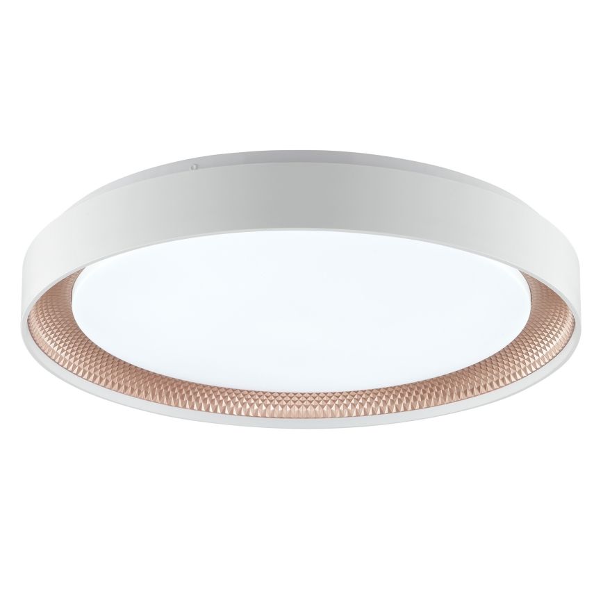 Brilliant - LED Dimmelhető mennyezeti lámpa WALDO LED/36W/230V 3000-6500K átm. 48,5 cm fehér/rózsaarany + távirányító