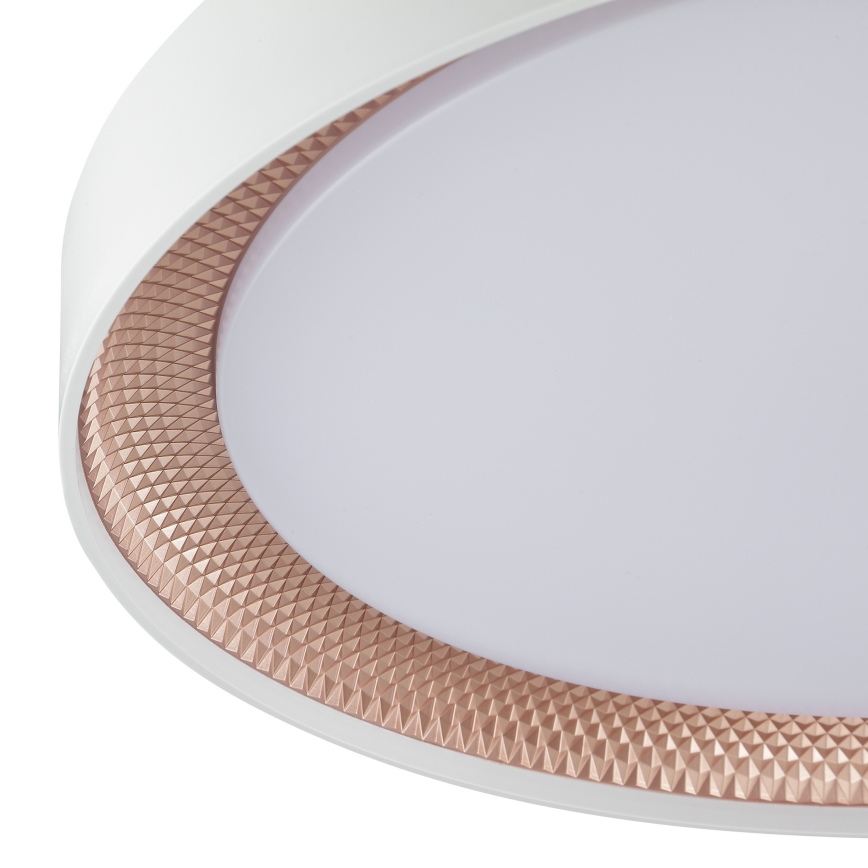 Brilliant - LED Dimmelhető mennyezeti lámpa WALDO LED/36W/230V 3000-6500K átm. 48,5 cm fehér/rózsaarany + távirányító