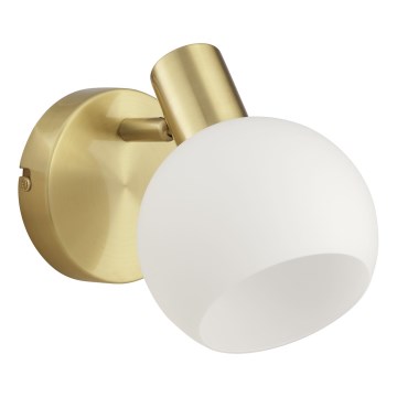 Brilliant - Fali spotlámpa CONY 1xE14/20W/230V sárgaréz
