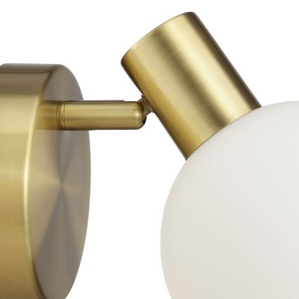 Brilliant - Fali spotlámpa CONY 1xE14/20W/230V sárgaréz