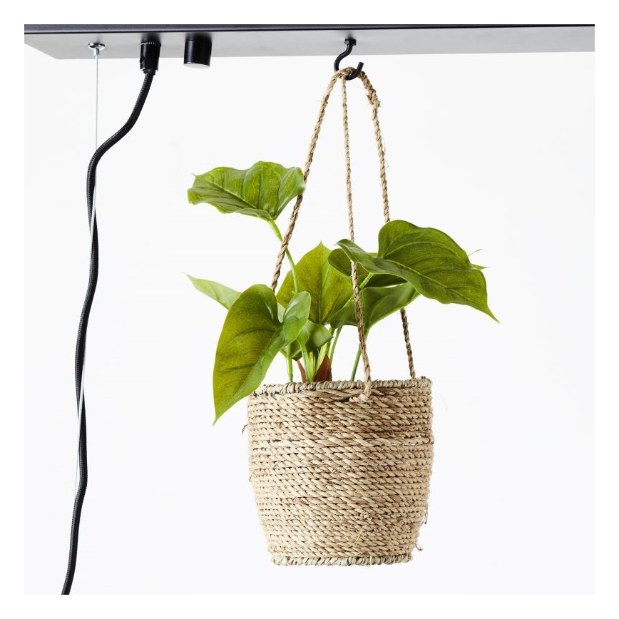 Brilliant - Kábeles függeszték BANKWOOD 5xE27/28W/230V nyárfa