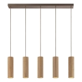 Brilliant - Kábeles függőlámpa LAKEWOOD 5xGU10/10W/230V barna