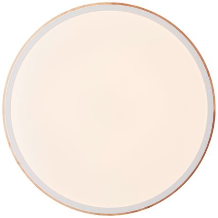 Brilliant - LED Dimmelhető mennyezeti lámpa BAARLO LED/24W/230V átm. 35 cm fehér/Gumifüge