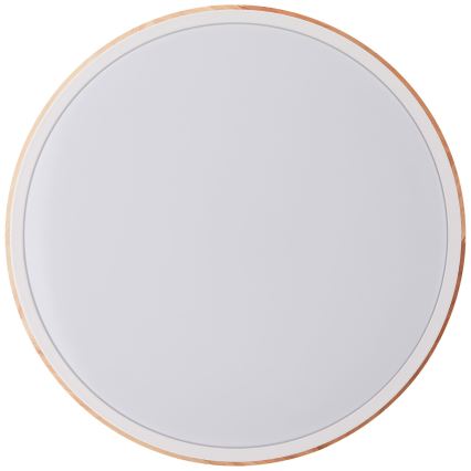 Brilliant - LED Dimmelhető mennyezeti lámpa BAARLO LED/24W/230V átm. 35 cm fehér/Gumifüge